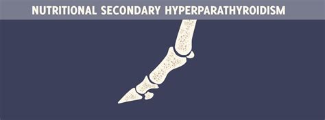 Nutritional Secondary Hyperparathyroidism | HorseDVM Diseases A-Z