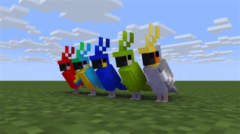 Create a Minecraft Parrot colors Tier List - TierMaker