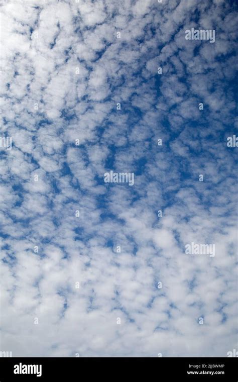 Altocumulus Castellanus Fair Weather Clouds in Blue Sky Stock Photo - Alamy