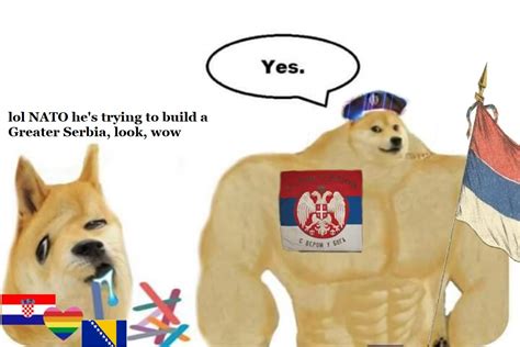 And it's beautiful | Swole Doge | Know Your Meme