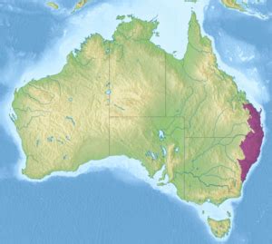 Eastern Australian temperate forests Facts for Kids