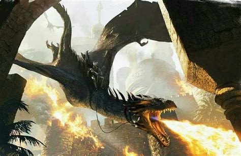 Syrax | Rhaenyra Targaryen #GoT | Balerion the black dread, Fantasy illustration, Year of the dragon