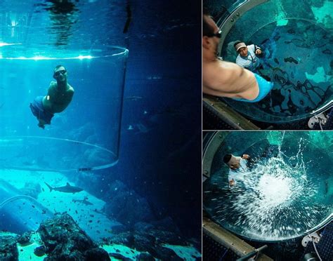 Nick Vujicic Swimming with Sharks in Singapore; And 4 Other Photos of ...