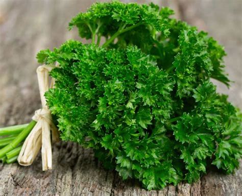 Parsley Meaning In Hindi