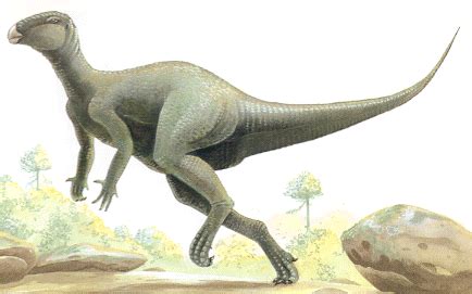 Dinossauros: Rhabdodonte