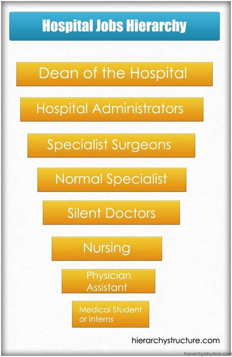 Hospital Jobs Hierarchy | Hospital jobs, Hospital administration, Hierarchy