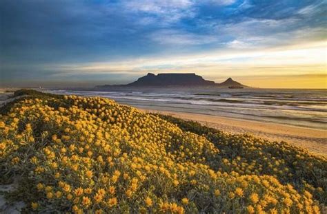 6 National Parks In Cape Town You Must Visit