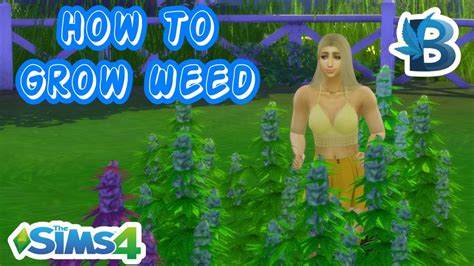 How To Grow Your Own Plants - Basemental Mod Series || The Sims 4 - YouTube