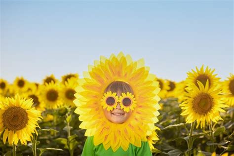 Premium Photo | Happy child having fun in spring field of sunflowers ...