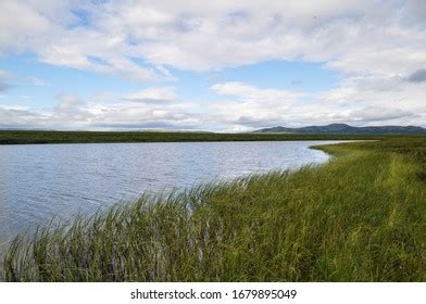 610 Summer On Yamal Peninsula Images, Stock Photos & Vectors | Shutterstock