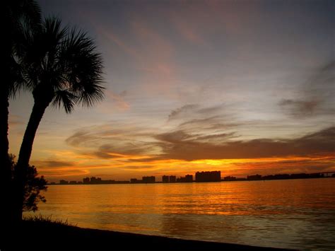 clearwater florida sunset | Beautiful beach pictures, Clearwater ...