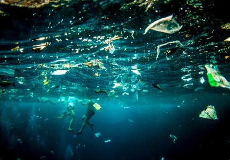 Oceanic Ibiza, un festival que mezcla arte y música para concientizar sobre los océanos ...