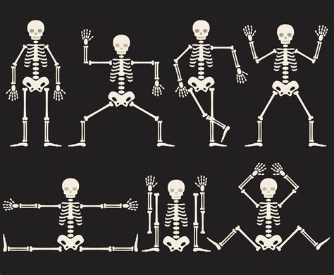 Cartoon Skeletons Vector Art & Graphics | freevector.com