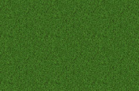 Royalty-Free photo: Green grass, rush, grass, texture, background, pattern | PickPik