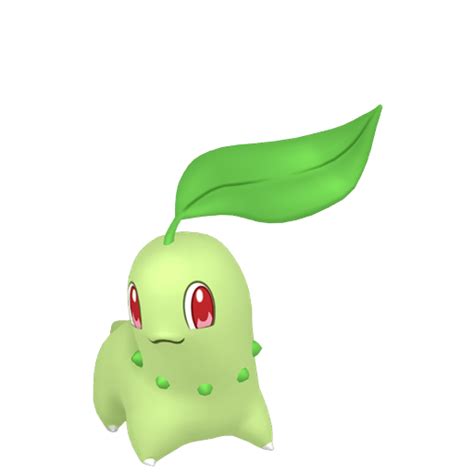 Chikorita • Generation VIII Pokédex • Marriland.com