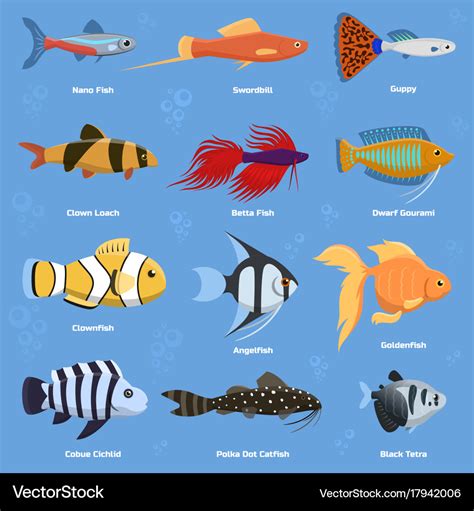 Aquarium and ocean fish breeds underwater bowl Vector Image