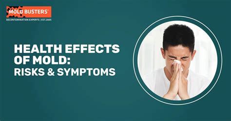 Health Effects of Mold: Dangers, Risks and Prevention Tips