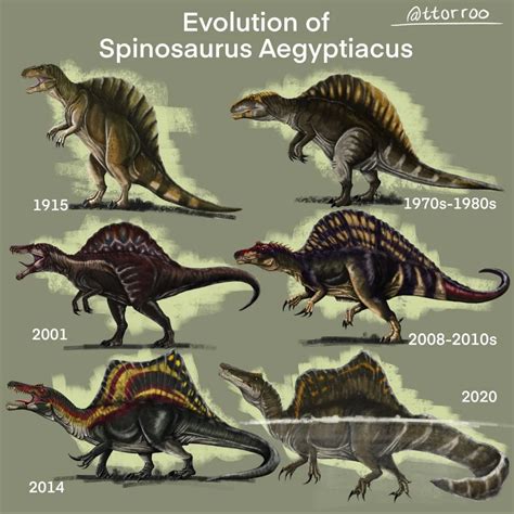 Spinosaurus throughout the decades. : r/Dinosaurs