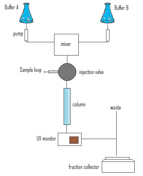 PROCEDURE - FPLC (Fast Protein Liquid Chromatography)