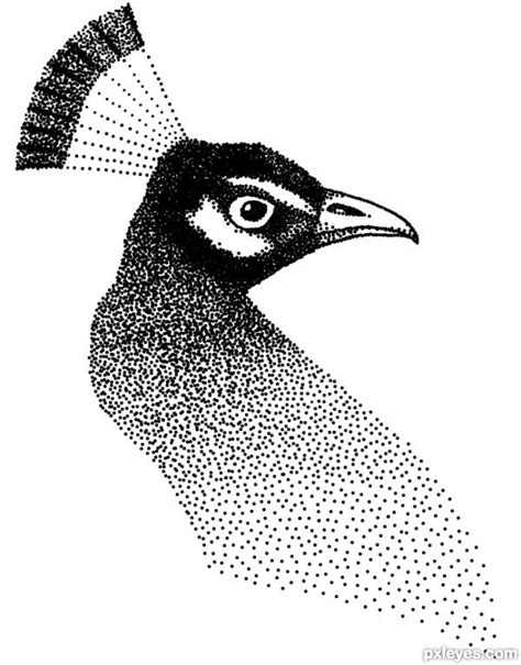 stippled toys | peacock dots - created by wooyuenfoo | Dotted drawings ...