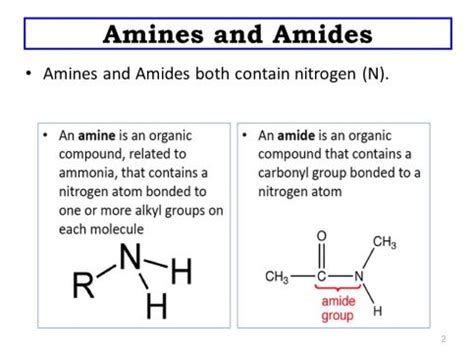 Amides Examples