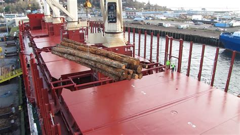 Loading timber onto a cargo ship - YouTube