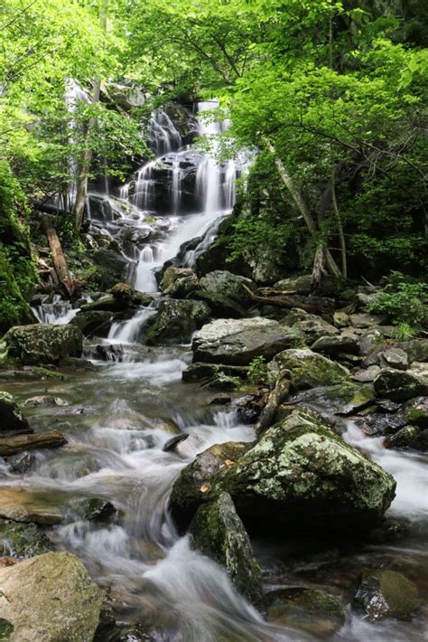 Waterfall Hikes in Shenandoah National Park - Travel. Experience. Live.