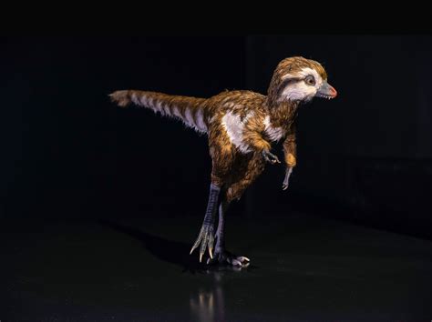 How Birds Are Helping Scientists Reimagine a Feathered T. Rex | Audubon