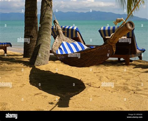 Hammock among the palm trees in one of luxury resorts on Maenam beach, Koh Samui island ...