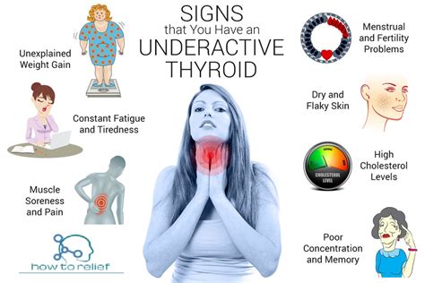 Underactive Thyroid (Hypothyroidism) Symptoms, Causes & Treatment » How ...