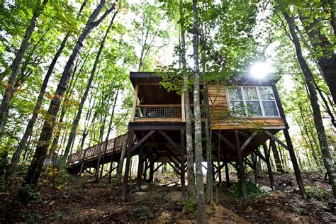 Tree House Tennessee