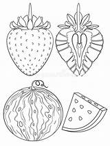 Fresh Strawberry Coloring Pages Fantasy sketch template