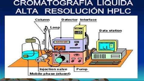 Petición Teoría de la relatividad Canguro cromatografia liquida y de gases Marchito Desalentar ...