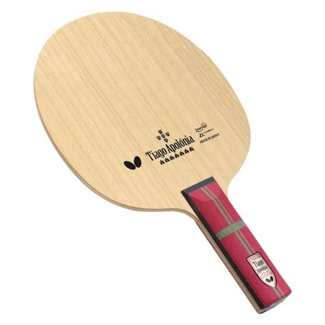 Table Tennis Equipment That Every Player Should Own! - Table Tennis Spot