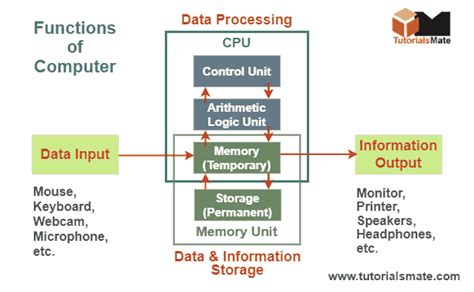 Four Basic Functions of Computer Systems - TutorialsMate