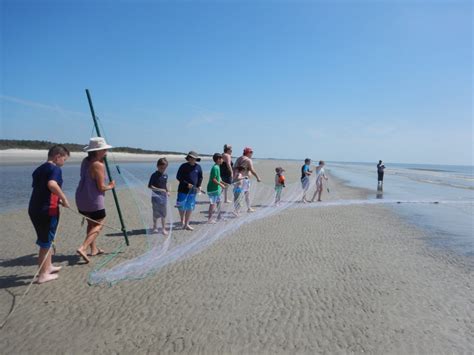 Shrimp Day on Sapelo Island | Sapelo Island NERR