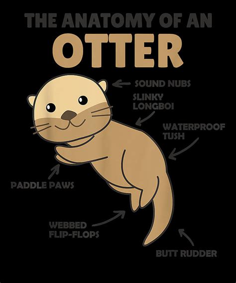 Overcome Courageous Cute Otter Explanation Anatomy Of An Otter Cool ...