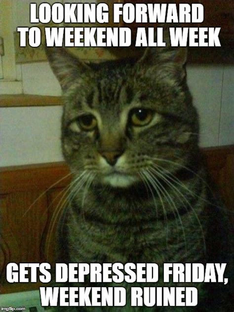 Depressed Cat Memes - Imgflip