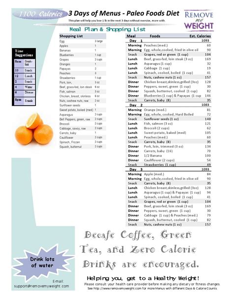 Free 1100 Calories a day 3 Day Paleo Diet with Shopping List - Printable - Menu Plan for Weight Loss