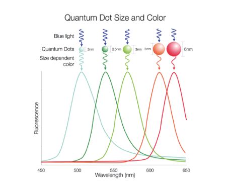 Properties and Applications of Quantum Dots - CD Bioparticles