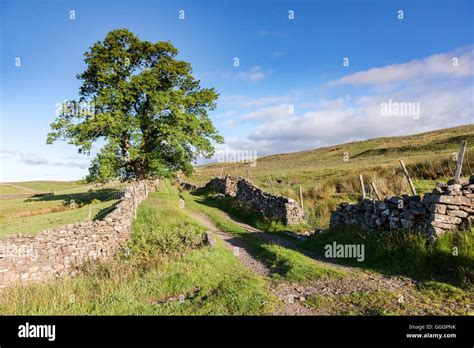 Above Askrigg, North Yorkshire Stock Photo - Alamy