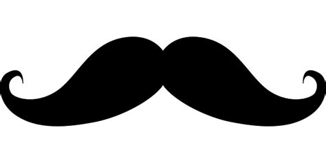 Collection of Moustache PNG. | PlusPNG