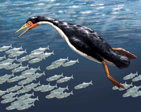 So you want to know about Giant Prehistoric Seabirds? - post