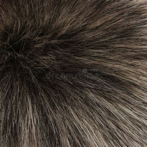 317 Monkey Fur Texture Stock Photos - Free & Royalty-Free Stock Photos from Dreamstime