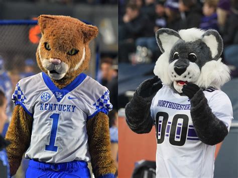 Mascot Showdown: The Kentucky Wildcat vs. the Northwestern Wildcat