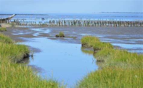 Wadden Sea North Coastal - Free photo on Pixabay