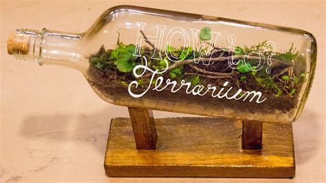 Terrarium 2 Liter Bottle