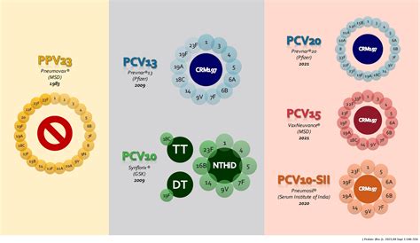 Impact of PCV10 on pediatric pneumococcal disease burden in Brazil ...