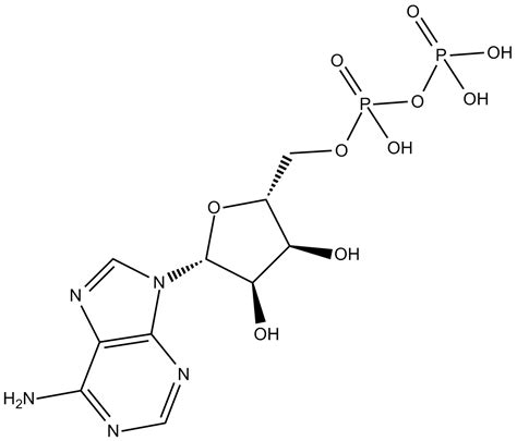 APExBIO - Adenosine-5'-diphosphate | central component of energy ...