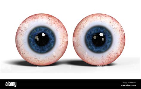 two realistic human eyes with blue iris, isolated on white background (3d illustration Stock ...